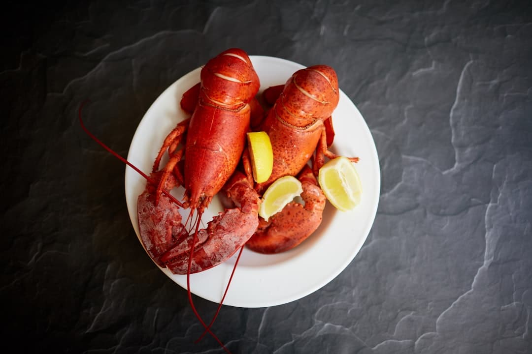 Lobster plated at a fine dining restaurant