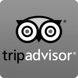 tripadvisor_logo